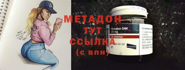 прущие грибы Карпинск