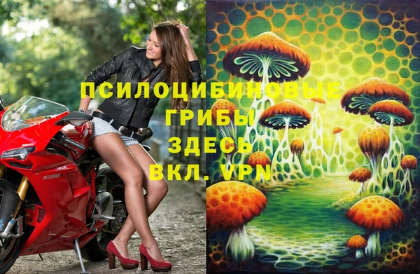 хмурый Карталы