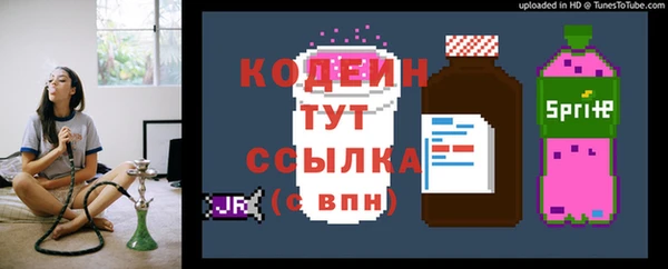 прущие грибы Карпинск