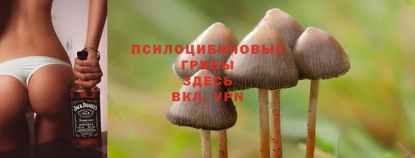 хмурый Карталы