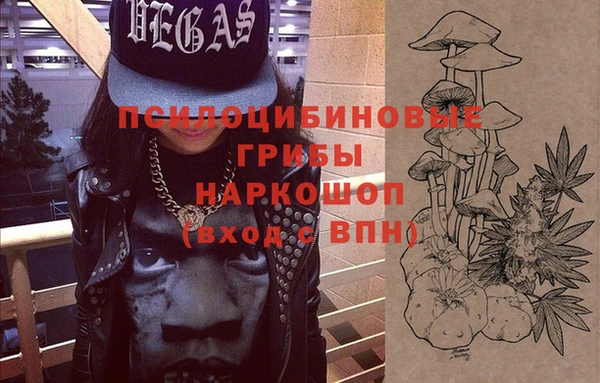 прущие грибы Карпинск