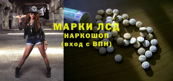 прущие грибы Карпинск